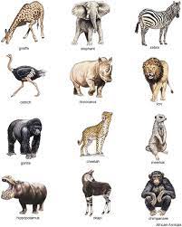 Maybe you would like to learn more about one of these? Animal Clipart African Animals Jungle Animals Pictures Animals