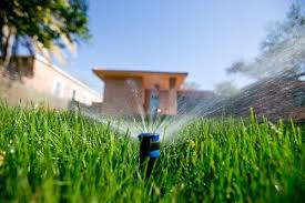 We did not find results for: You Re Wasting Water On Your Lawn Here S How To Stop This Summer Mpr News