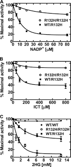 Actorul sacha baron cohen a fost chemat în judecată. Cancer Associated Isocitrate Dehydrogenase Mutations Inactivate Nadph Dependent Reductive Carboxylation Journal Of Biological Chemistry