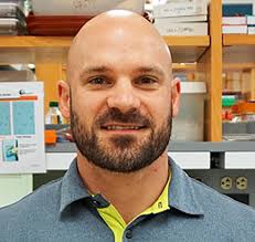 Weight cycling worsens the body's ability to control glucose levels