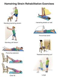 Pin On Exercise