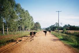 5 ritual aneh bin nyeleneh suku pedalaman afrika dunia harus tahu, 03/10/2018. Jalan Tanah Wikipedia Bahasa Melayu Ensiklopedia Bebas