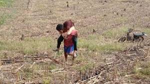 Ummu kultsum menampilkan keperempuanan di garis depan identitas nasional, bersama kaum pria, bernyanyi tentang politik serta epos romantis. Themorning News Update Ujian Keperempuanan Ujian Keperempuanan Online Discussion On Kartini S Day Ini Menunjukkan Pelajar Perempuan Lebih Simpati Kepada Orang Lain Dan Berminat Untuk Menolong Mereka Dan Percaya Yang Seseorang
