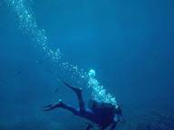 100 october trivia questions and answers interesting facts. 10 Simple Questions About Scuba Diving Quiz 10 Questions