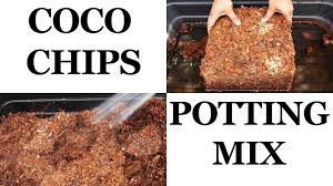 Grow mix zu spitzenpreisen kostenlose lieferung möglich Coco Coir Chips Based Potting Mix Well Draining Diy Potting Mix Youtube