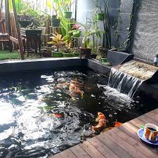 Dengan konsep akuarium, sisi depan yang dilapisi kaca tembus pandang membuat para tamu mudah desain kolam ikan koi ini juga dikelilingi oleh bebatuan yang menutup permukaan tanah. 9 Inspirasi Kolam Ikan Minimalis Di Teras Rumah Yang Cantik Nan Adem