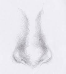 Draw another line across the middle of your egg from left to right. Beginner Tutorial How To Draw A Realistic Nose Easy Basic Step By Step 9824