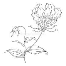 There are tons of great resources for free printable color pages online. Flame Coloring Stock Illustrations 1 588 Flame Coloring Stock Illustrations Vectors Clipart Dreamstime