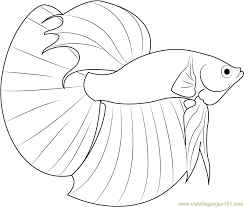 Betta fish coloring is a lot more complicated than you might think. Fish Coloring Pages Pdf Coloring And Malvorlagan