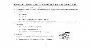 Muhammad zulhafiz bin mohd aini 4. Gerak Balas Rangsangan Tahun 4