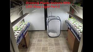 Blue light is the best led grow light. Growing Plants Indoors With Led Shop Light Video 2 Youtube