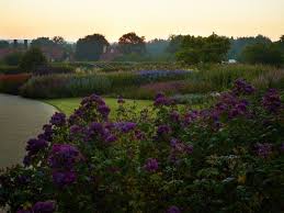Garden Visit The Latest Word On Roses From The Royal Horticultural Society Gardenista Garden Visits Rose Garden Landscape Landscape Design