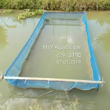 Takaran nutrisi pada pakan ikan tambahan tidak bisa diukur dengan tepat. 10x5x3ft Pukat Asuhan Anak Ikan Fish Netting Sangkar Ikan Kolam Ikan Hapa Net Shopee Malaysia