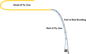 how to select fly lines for single two handed fly rod affta