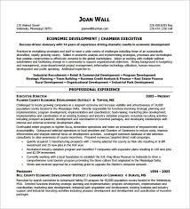› fund development officer job description. Non Profit Executive Resume Template Executive Resume Template And What You Should Include The E Executive Resume Template Executive Resume Resume Examples