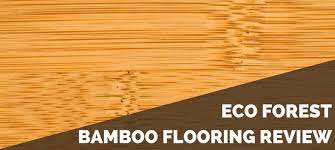 We did not find results for: Eco Forest Bamboo Flooring Review 2021 Pros Cons Cost Estimate