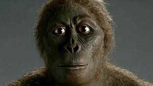 Es gibt immer nur einen fehler pro zeile. Geschichte Die Evolution Des Menschen Geolino