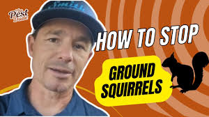 Ground Squirrels Can't Be Stopped! (Actually, it's easier than you think)