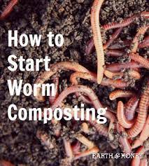 How To Start Worm Composting Compost Composting Vermiculture Worms Wormtea Worm Composting Garden Compost Compost