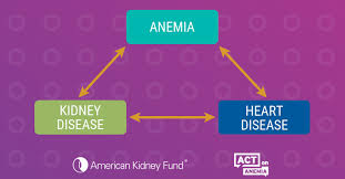 Anemia Kidney Disease And Your Heart Its Time To Have The