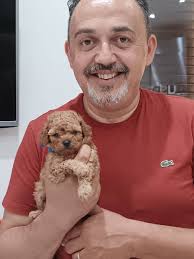 allevamento Riccioli D'oro