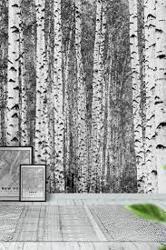 Birch Trees Black And White Wallpaper Birch Tree Wallpaper Black And White Wallpaper White Wallpaper