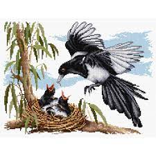 Maybe you would like to learn more about one of these? Australian Birds 1 Country Threads
