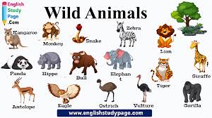 Find the latest funny animal videos, cute animal pictures and amazing animal stories on today.com. 16 Wild Animals Names In English English Study Page