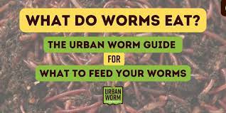 What Do Worms Eat? A Road Map For What To Feed Your Worms