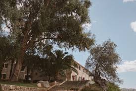 Maybe you would like to learn more about one of these? Wedding In Valldemossa Angela Y Lucas Tofol Morey