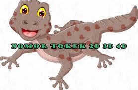 Check spelling or type a new query. Nomor Tokek Berapa Erek Erek Buku Mimpi Tokek 2d 3d 4d
