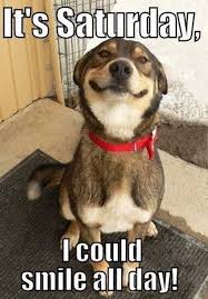 101 Funny Saturday Memes Will Make You Laugh From Morning Till Night Missing You Memes I Miss You Meme Funny Saturday Memes