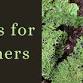 Lichens for Beginners event image