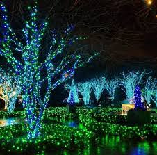Garden Lights Holiday Nights At Atlanta Botanical Garden Holiday Nights Atlanta Botanical Garden Attractions In Georgia