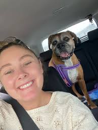 House Sitting Opportunity in Lago di Garda, Northern Italy