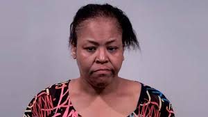 Warren police arrest woman accused of stabbing after following trail of  blood