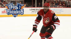 NHL's Arizona Coyotes Assign Smereck to Firebirds, Will Play ...