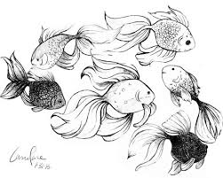 Goldfish Sketches Goldfish Art Illustrations Goldfish Art Fish Sketch
