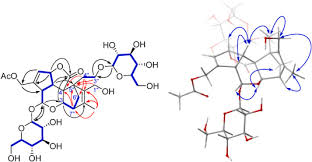 Image result for Morinda asteroscepa