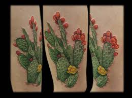 There are many species of prickly pear ca ctus's, most commonly found in. 70 Latest Cactus Tattoos