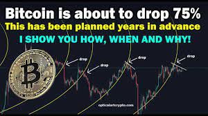 The analyst expects the dominant cryptocurrency to reach the $100,000 to $288,000 range by december 2021. Bitcoin Will Crash 75 Soon In 2020 Before The 2021 Btc Bull Run Can Beg Bitcoin Bull Run How To Plan