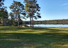 Relax in our lower keys campground with your camper, rv, or tent facing the beautiful oceanfront. Camel Lake Campground National Forests In Florida Recreation Gov