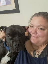 Rehoming american staffordshire terrier in Iowa