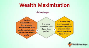 Wealth Maximization Definition Example How It Works