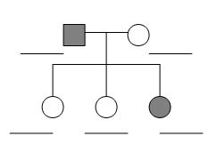 What type of heredity is shown in the pedigree? Practice Pedigree Charts Answers Daval