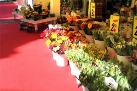 Blumen Risse In Werne Tritt Schliessungs Geruchten Entgegen Rn Werne Auf meinprospekt findest du alle aktuellen angebote und prospekte von blumen risse in hemer.