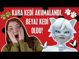 New Iste Mucize Nin O Cok Merak Edilen Sesleri Ugur Bocegi Kara Kedi Chloe Plagg Disney Channel Tr