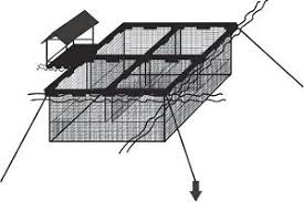 4 Cara Budidaya Ikan Nila Keramba Apung Bagi Pemula Ilmubudidaya Com