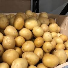 Yukon Gold Potatoes Information Recipes And Facts