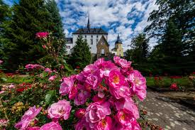 Check spelling or type a new query. Packages I Hotel Purschenstein I Neuhausen Germany